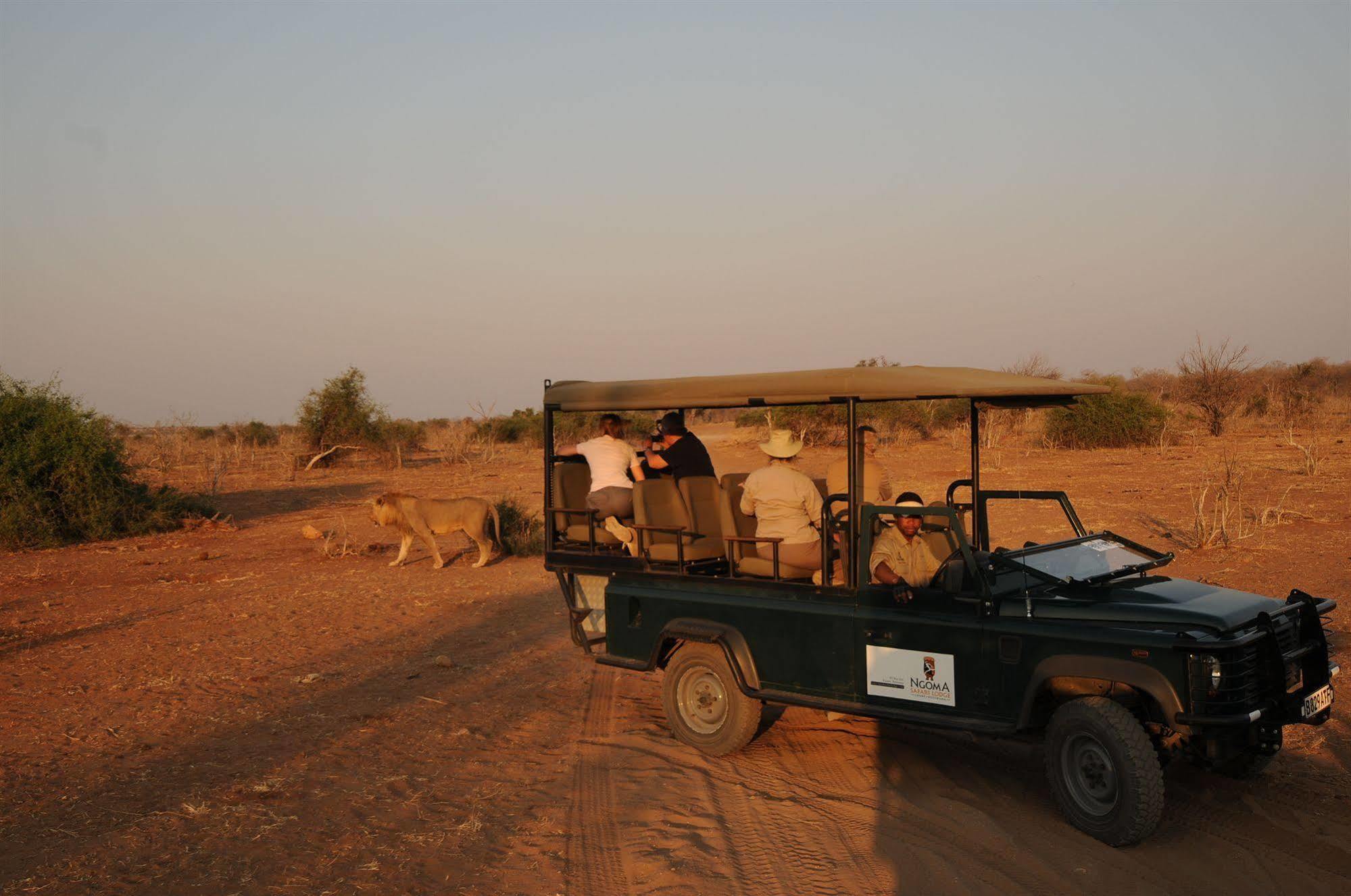 Ngoma Safari Lodge Kavimba Exterior photo